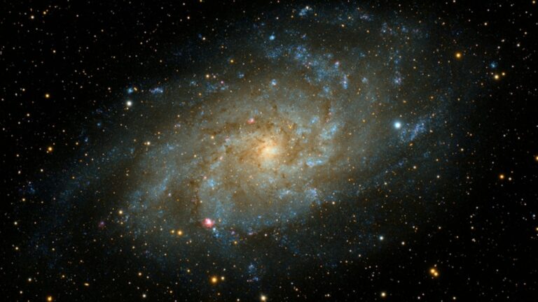 Cosmos DB Flaw Put Every Database On The Service At Risk, Microsoft's Included